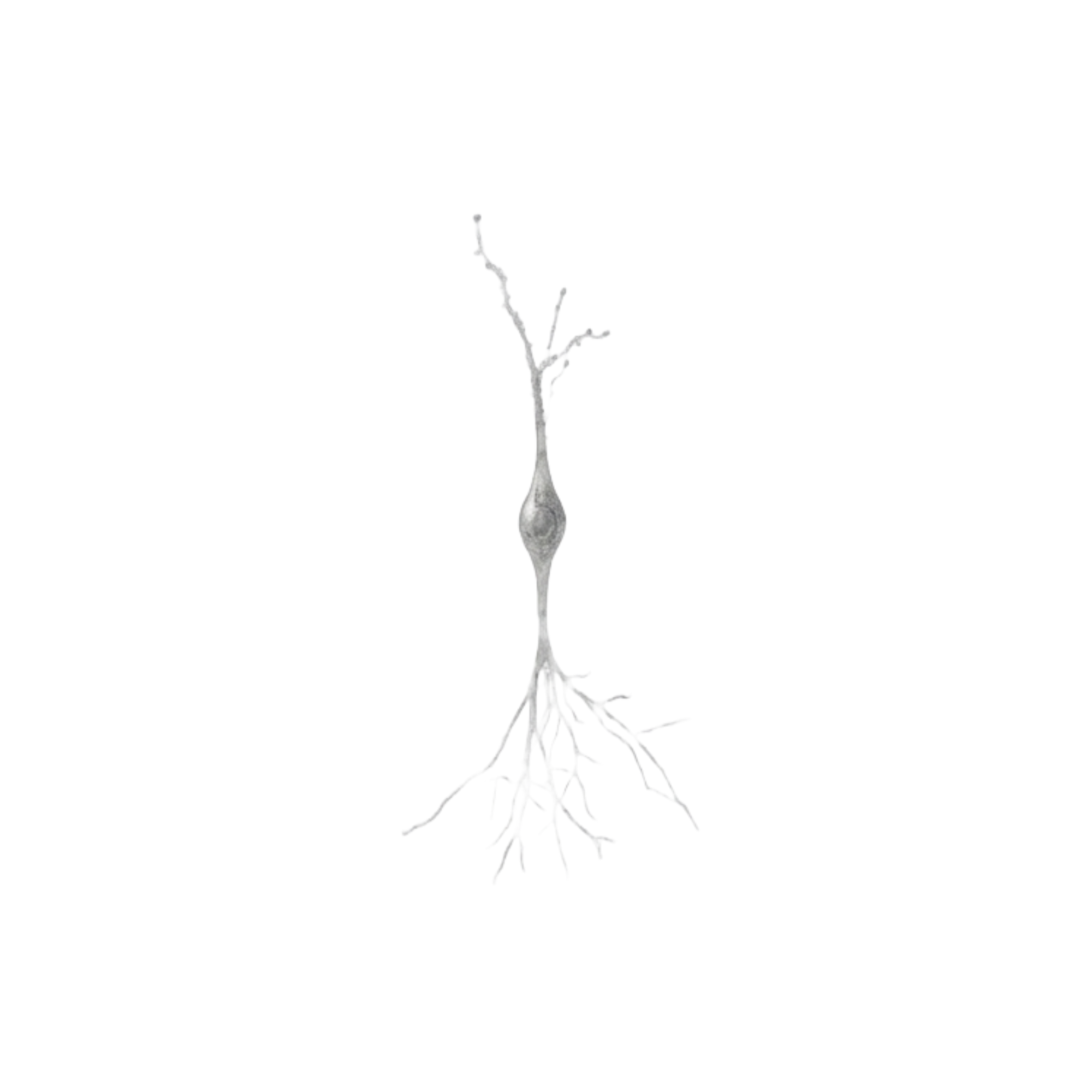 Neural Regeneration research cover