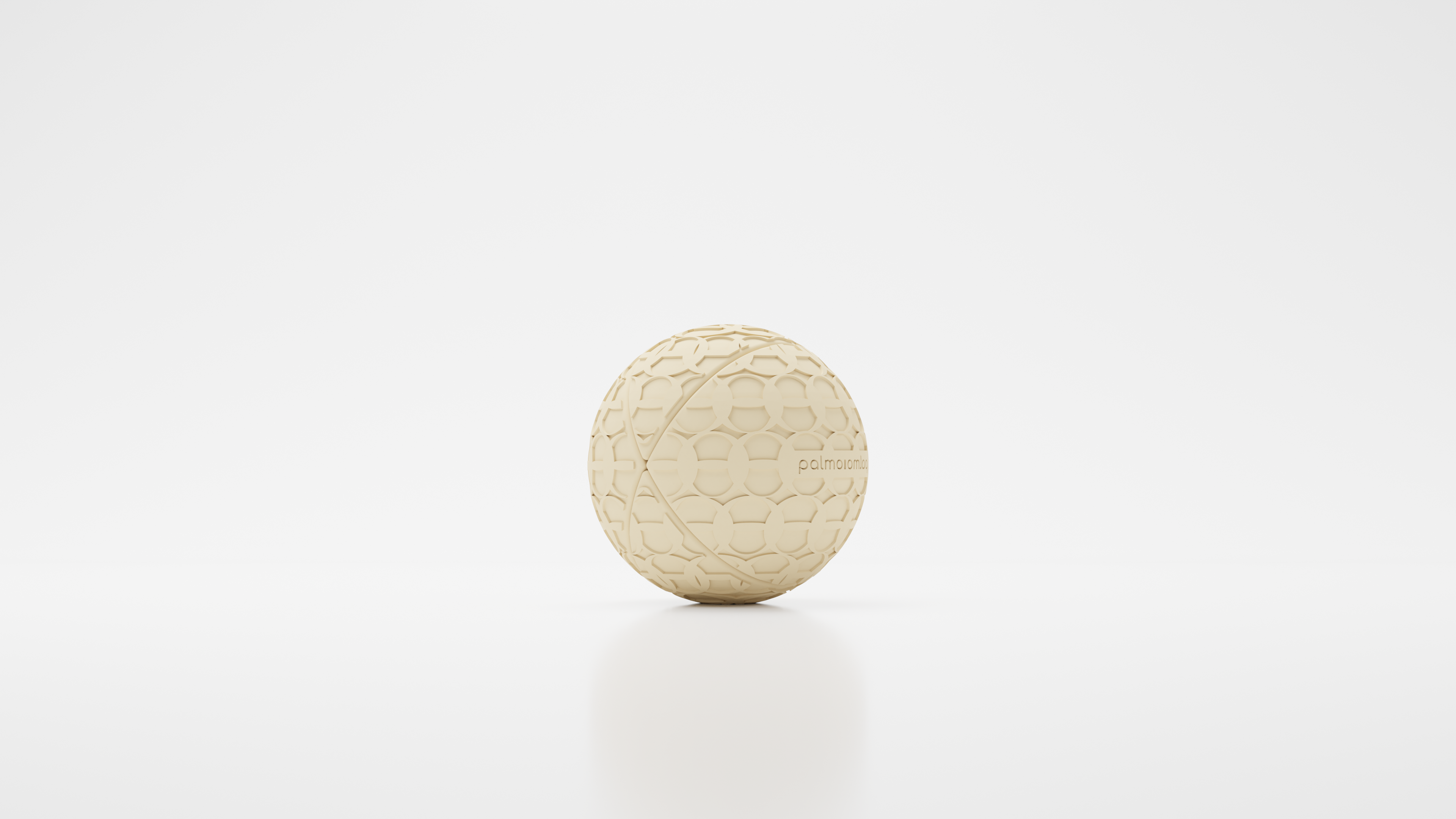 Palm X, Y, Z product line cover